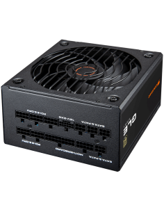 COUGAR GLE 1000 PSU 2